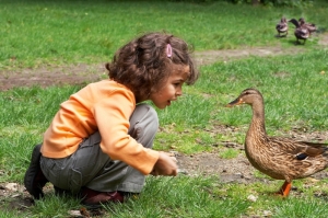 4 yr old with duck dreamstime_2594160_small